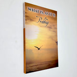 What Is As It Is Satsangs with Prabhuji