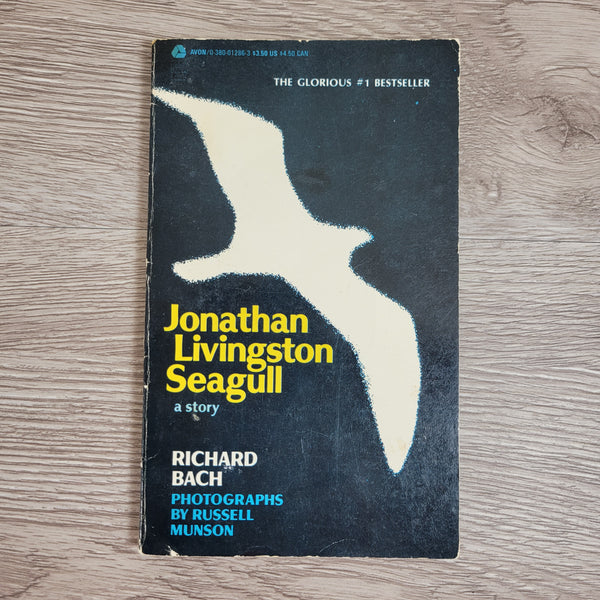 Jonathan Livingstone Seagull by Richard Bach Paperback – Meditative Books