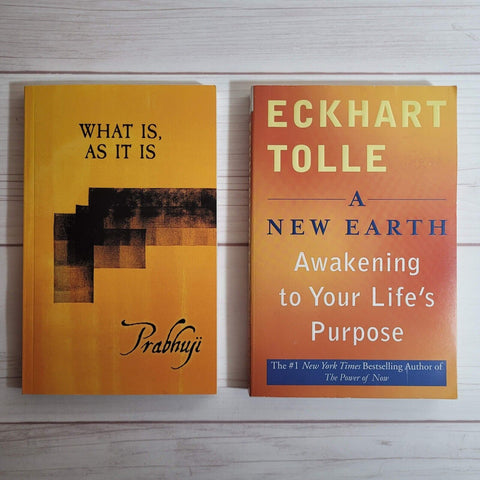 Spirituality Books Lot of 2 Prabhuji Eckhart Tolle A New Earth Meditation Truth