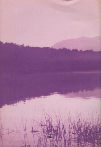 La persecución del placer by J. Krishnamurti Spanish Edition
