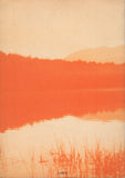 La raiz del conflicto by J. Krishnamurti Spanish Edition