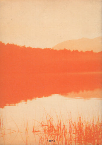 La raiz del conflicto by J. Krishnamurti Spanish Edition