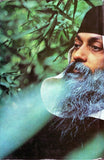 This Very Body the Buddha by Osho Bhagwan Shree Rajneesh 1st Edition