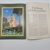 Back to Godhead Hare Krishna Magazine 1981 Vol. 16 No.8