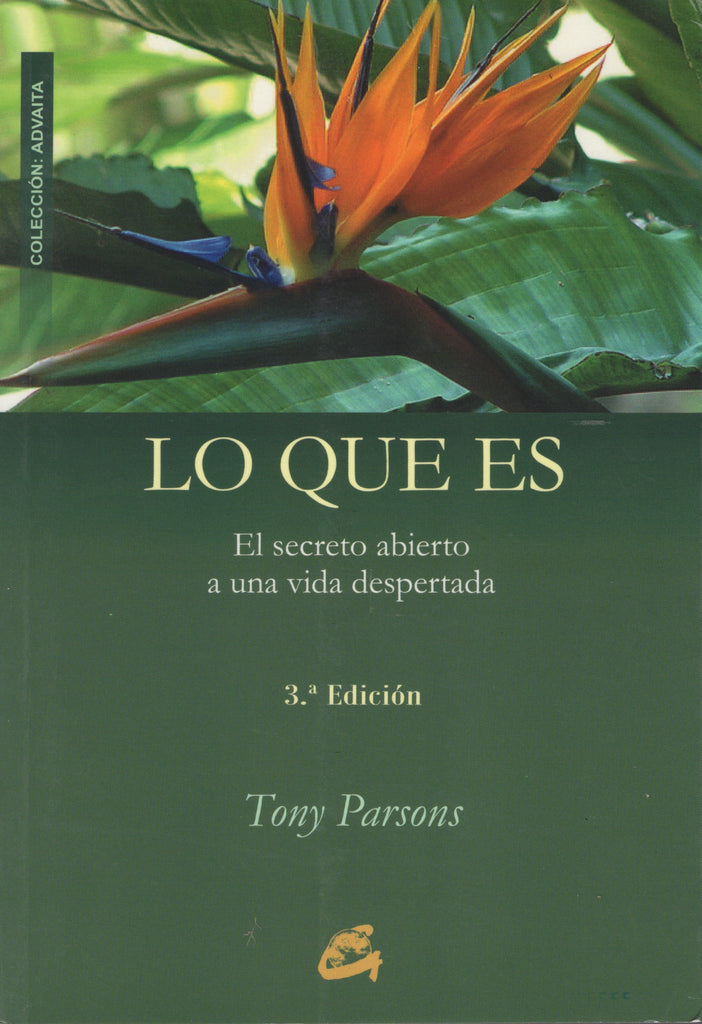 Lo que es El secreto abierto a una vida despertada by Tony Parsons Spanish